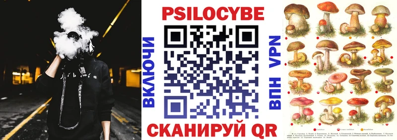 Галлюциногенные грибы MAGIC MUSHROOMS  omg зеркало  сайты даркнета как зайти  Новый Уренгой 